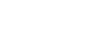 AN Global Logo AN Global Logo
